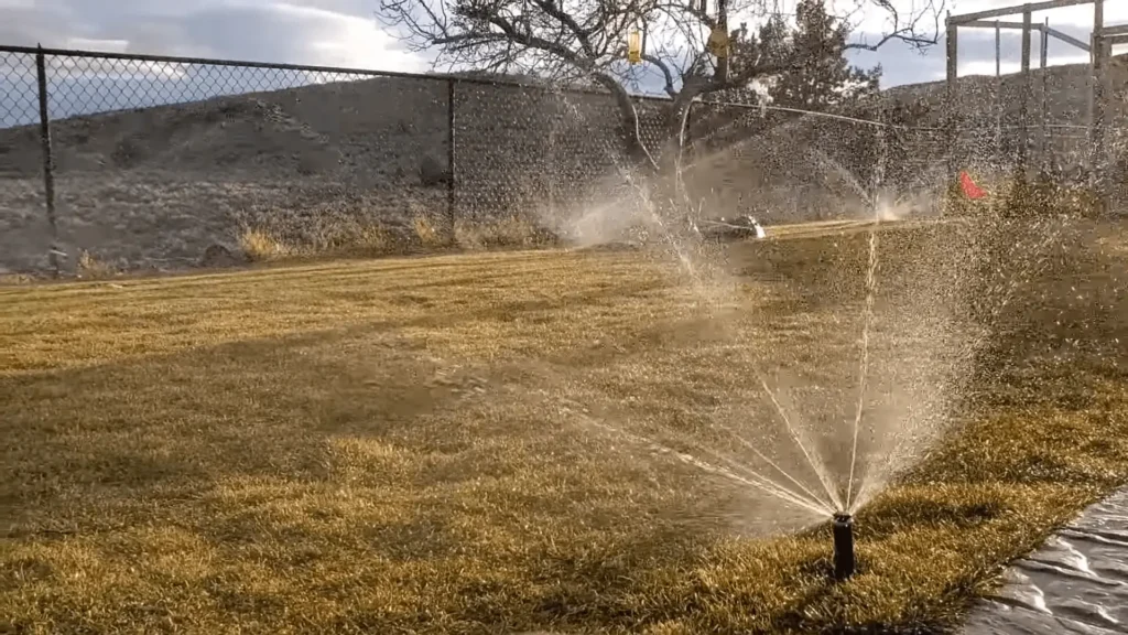 spring lawn care, watering lawn in spring