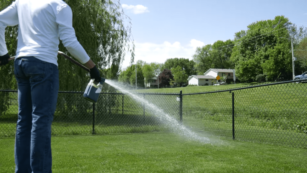 man spraying liquid iron in lawn