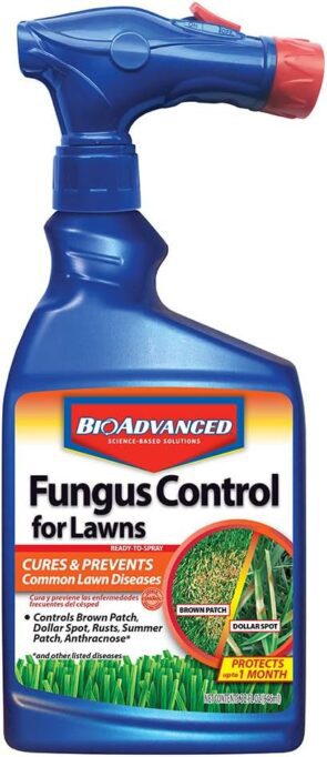 bioadvanced fungus control for lawns