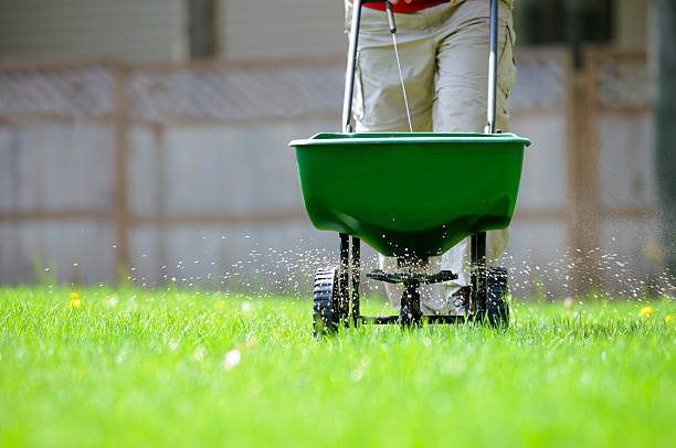 Humic Acid application on lawn using broadcast spreader