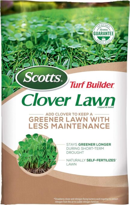 scotts clover lawn seeds