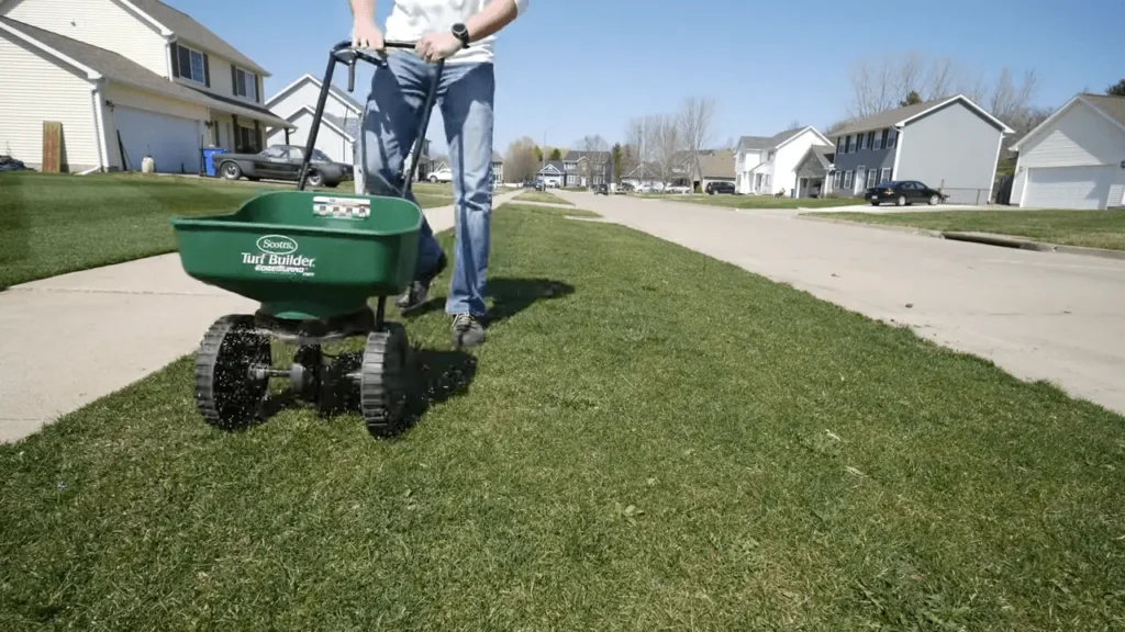 broadcast seeding lawn in spring