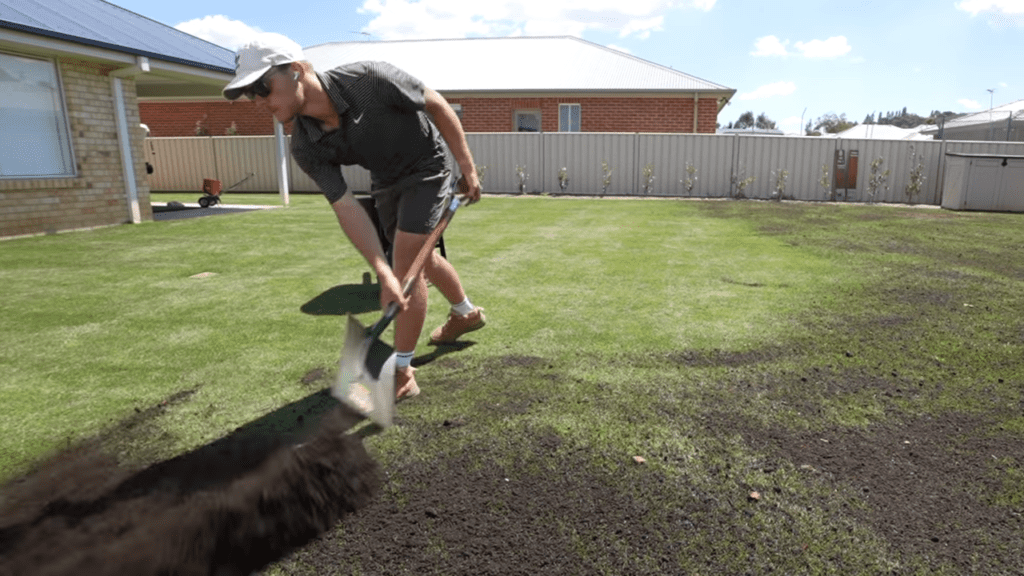 giving a light top dress of soil to lawn post overseeding