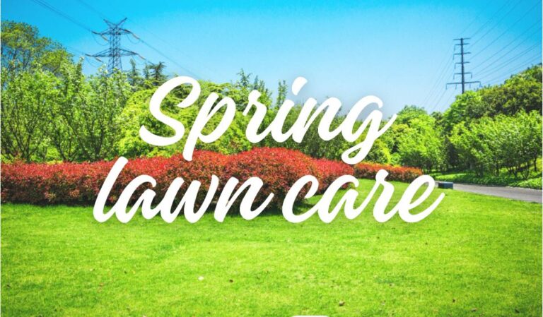Boost Your Grass: Choose the Right Spring Lawn Fertilizer Now!