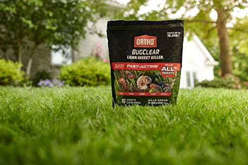 Ortho BugClear Lawn Insect Killer1, Kills Ants, Spiders, Ticks, Fleas, Armyworms and Grubs, Treats up to 16,500 sq. ft., 10 lb.