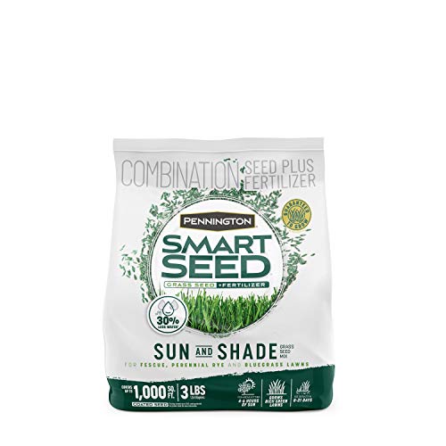 Pennington Smart Seed Sun and Shade Grass Mix 3 lb - best grass seeds
