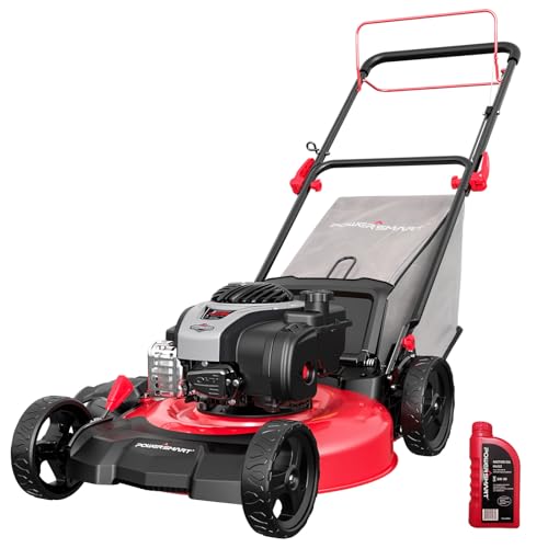 PowerSmart 21