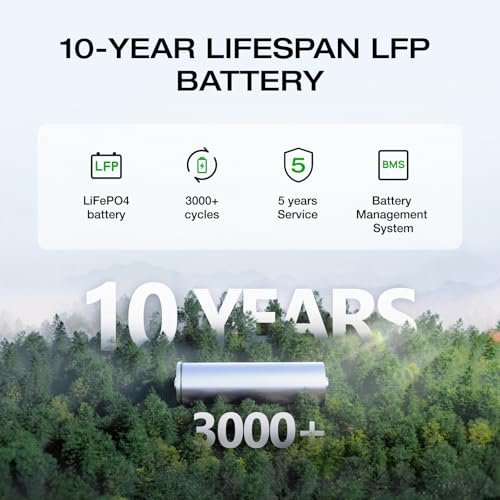 EF ECOFLOW Portable Power Station DELTA 2 Max, 2400W LFP Solar Generator, Full Charge in 1 Hr, 2048Wh Solar Powered Generator for Home Backup(Solar Panel Optional)