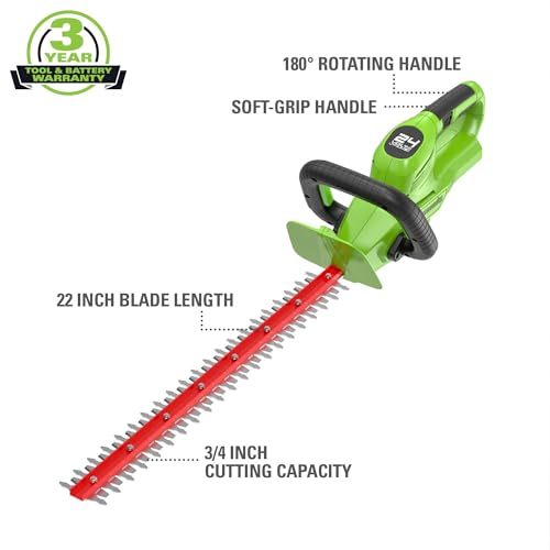 Greenworks 48V (2x24V) 20