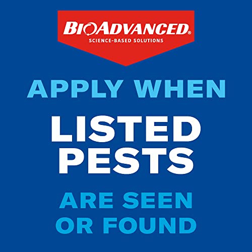 BioAdvanced Season Long Grub Control, Ready-to-Spread Granules for Insects, 10 LB