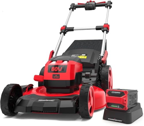 PowerSmart 80V 22