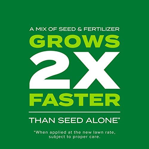Scotts Turf Builder Rapid Grass Sun and Shade Mix, Combination Seed and Fertilizer, Grows Green Grass in Just Weeks, 16 lbs.