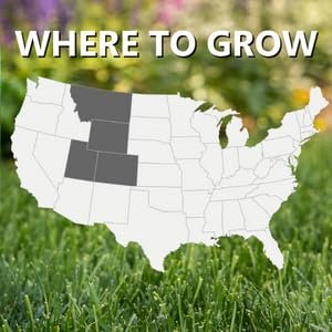 Jonathan Green (10383) Black Beauty Rocky Mountain Colorado Grass Seed Mixture (Made for Colorado, Montana, Utah, and Wyoming) - Cool Season Lawn Seed (7 lb)