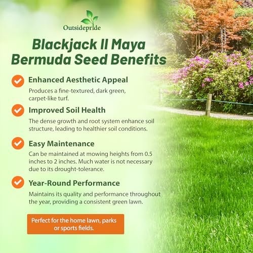 Outsidepride Maya (Blackjack II) Bermuda Grass Seed - 5 lbs Warm Season, Drought Tolerant, Fast Growing, Fine-Textured Bermuda Grass Seeds for Lawn, Parks, Golf Courses & Sports Fields