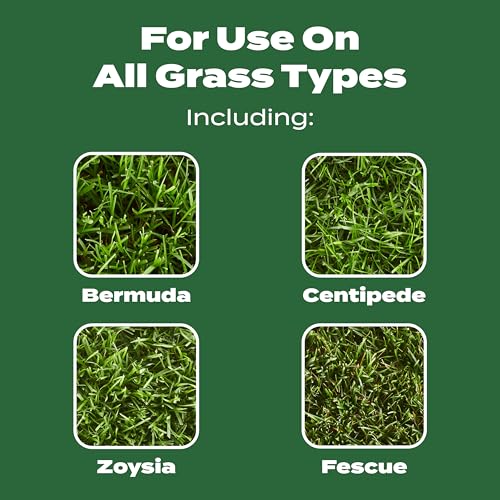 Scotts Turf Builder Lawn Food - Fertilizer for All Grass Types, 15,000 sq. ft., 37.50 lbs.