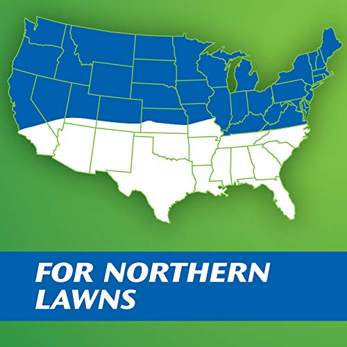 Scotts PatchMaster Lawn Repair Mix Sun + Shade Mix, Combination Grass Seed, Fertilizer, and Mulch, 10 lbs.