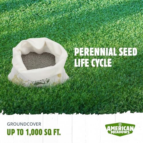 American Meadows Microclover Seed - Specially Blended Lawn Alternative, Low Maintenance, Great Ground Cover, Durable for High Traffic Areas, Drought Tolerant, Grass Alternative (1 lb.)