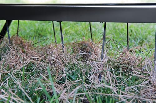 Bundle of Agri-Fab 45-0492 Lawn Sweeper, 44-Inch Orange + Agri-Fab 40-Inch Tine Tow Dethatcher 45-0294,Black