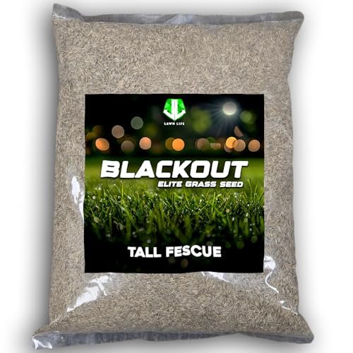 NightShift (Formerly Blackout) Turf Type Tall Fescue Grass Seed (25 lbs)