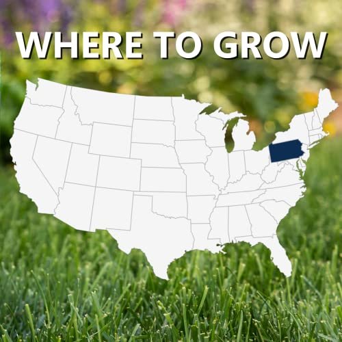 Jonathan Green (10362) Black Beauty Keystone PA Grass Seed (Made for Pennsylvania) - Cool Season Lawn Seed (25 lb)