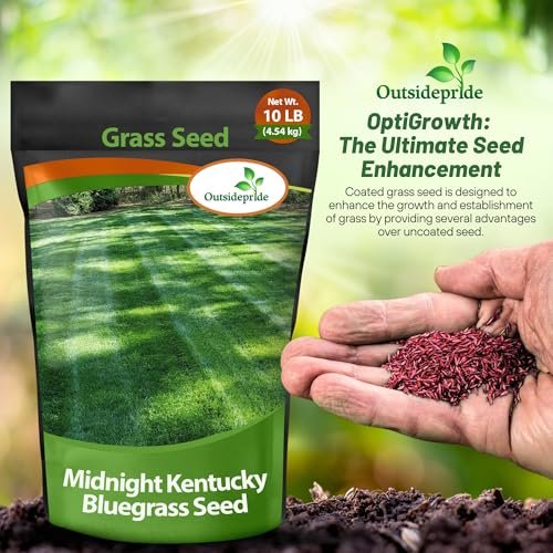 Outsidepride Midnight Kentucky Bluegrass Seed - 10 Lbs. Cold & Drought Tolerant, Sun-Loving Lawn Grass Seed, w/High Traffic Tolerance & Deep Root System, OptiGrowth Coated for Better Establishment