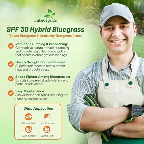 Outsidepride SPF-30 Hybrid Bluegrass Seeds - 5 lbs. Heat & Drought Tolerant, Texas Bluegrass & Kentucky Bluegrass Seed Mix for Challenging Climates, OptiGrowth Coated for Better Establishment