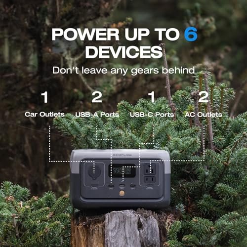 EF ECOFLOW Portable Power Station RIVER 2, 256Wh LiFePO4 Battery/ 1 Hour Fast Charging, 2 Up to 600W AC Outlets, Solar Generator (Solar Panel Optional) for Outdoor Camping/RVs/Home Use