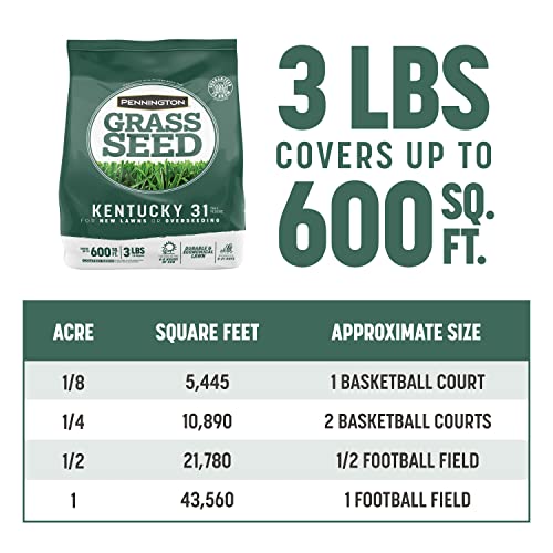 Pennington Kentucky 31 Tall Fescue Penkoted Grass Seed 3 lb