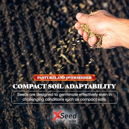 X-Seed Land Over-Seeder Pasture Forage Seed Mix, Endophyte Free for Healthier Livestock Grazing, Clover Food Plot Orchardgrass Perennial Planting Micro Boost Seed for Faster Growth, 25 lb Bag - Green