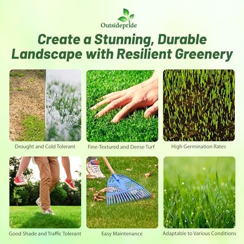 Outsidepride Maya (Blackjack II) Bermuda Grass Seed - 5 lbs Warm Season, Drought Tolerant, Fast Growing, Fine-Textured Bermuda Grass Seeds for Lawn, Parks, Golf Courses & Sports Fields