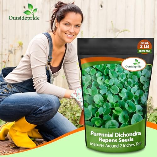Outsidepride Perennial Dichondra Repens Seeds - 2 lbs Dense Green, Low-Maintenance Ground Cover Seeds for Planting, Ideal Lawn Alternative in Sun or Shady Areas & Erosion Control in USDA Zones 8-11