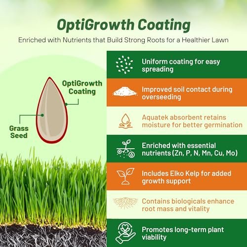Outsidepride SPF-30 Hybrid Bluegrass Seeds - 5 lbs. Heat & Drought Tolerant, Texas Bluegrass & Kentucky Bluegrass Seed Mix for Challenging Climates, OptiGrowth Coated for Better Establishment