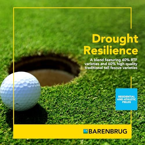 Barenbrug Turf Saver RTF Grass Seed with Yellow Jacket Seed Coating - Less Water Self-Repairing Tall Fescue Turf for Use on Sports Field, Golf Courses, Parks, Lawns, and Yard (10 LB Bag)