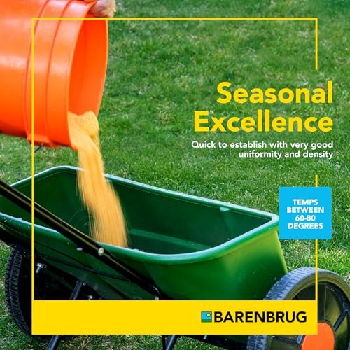 Barenbrug Turf Saver RTF Grass Seed with Yellow Jacket Seed Coating - Less Water Self-Repairing Tall Fescue Turf for Use on Sports Field, Golf Courses, Parks, Lawns, and Yard (10 LB Bag)