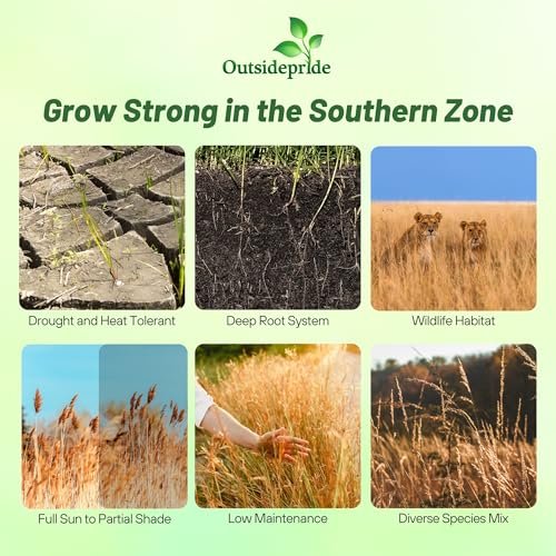 Outsidepride Perennial Tall Native Grass Seed Mix - 1 lbs. Blend of Drought-Tolerant, Low-Maintenance Bluestem, Switchgrass & Indian Grass Seeds for Wildlife Habitat, Erosion Control & Landscaping