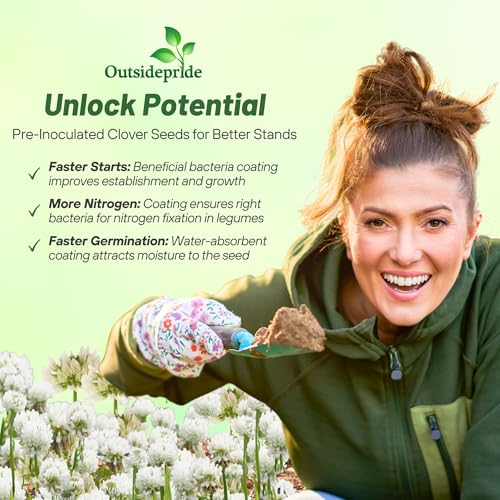 Outsidepride Perennial White Ladino Clover Seed - 5 lbs. Nitrocoated, Inoculated Bulk Clover Seeds, Ideal for Pasture, Forage, Food Plots & Wildlife Ground Cover for Continuous & Rotational Grazing