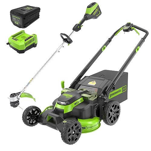 Greenworks 80V 25