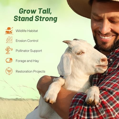 Outsidepride Perennial Tall Native Grass Seed Mix - 1 lbs. Blend of Drought-Tolerant, Low-Maintenance Bluestem, Switchgrass & Indian Grass Seeds for Wildlife Habitat, Erosion Control & Landscaping