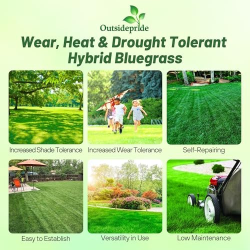 Outsidepride SPF-30 Hybrid Bluegrass Seeds - 5 lbs. Heat & Drought Tolerant, Texas Bluegrass & Kentucky Bluegrass Seed Mix for Challenging Climates, OptiGrowth Coated for Better Establishment