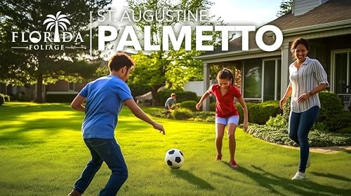 St. Augustine Palmetto | 36 Live Extra Large Grass Plugs | Drought, Salt & Shade Tolerant Turf Sod