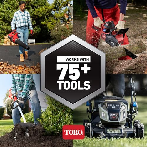 Toro Foldable 60-Volt 21
