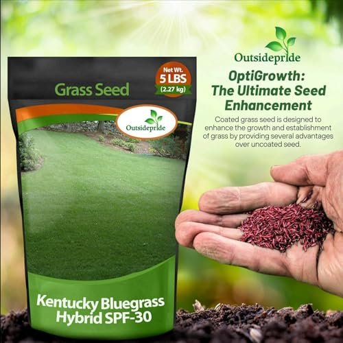 Outsidepride SPF-30 Hybrid Bluegrass Seeds - 5 lbs. Heat & Drought Tolerant, Texas Bluegrass & Kentucky Bluegrass Seed Mix for Challenging Climates, OptiGrowth Coated for Better Establishment