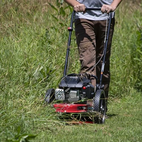 Earthquake Walk Behind String Mower with 160cc Viper™ Engine, 45901