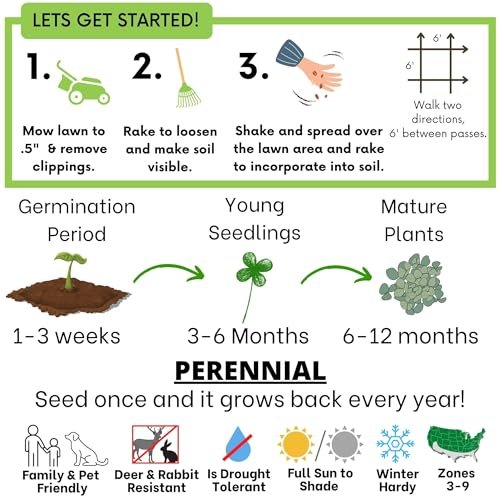 Flawn Seed Kits Micro Clover Seed, Organic Coated, Eco-Friendly, Low Growing, Low Maintenance, Lawn Alternative, Kraft Pouch, Covers up to 1000 sqft