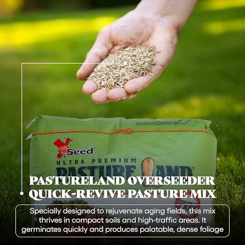 X-Seed Land Over-Seeder Pasture Forage Seed Mix, Endophyte Free for Healthier Livestock Grazing, Clover Food Plot Orchardgrass Perennial Planting Micro Boost Seed for Faster Growth, 25 lb Bag - Green