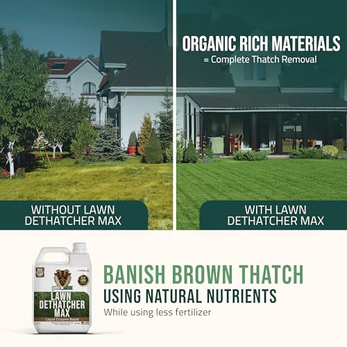 PetraTools Liquid Dethatcher, Lawn Dethatcher & Aerator, Grass Dethatcher & Thatch Rake Alternative, Thatch Remover, Liquid Thatch Remover, Lawn Dethatch Product, Lawn Dethatching Solutions (32 Oz)