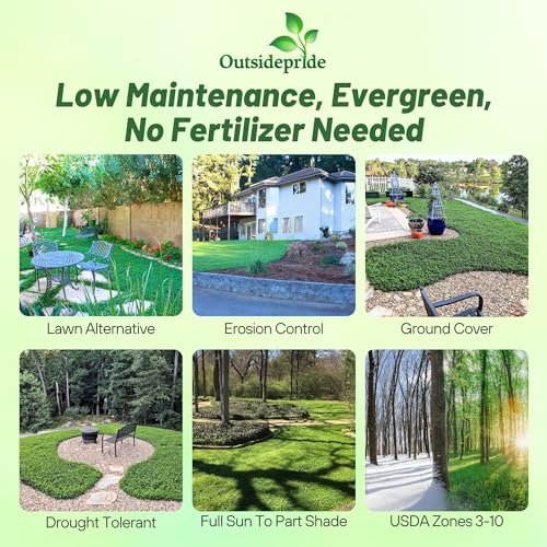 Outsidepride Perennial White MiniClover Seed - 1 lb. Dwarf, Small-Leaved, Drought & Wear-Tolerant Micro Clover Seeds for Lawn, Ideal Low-Maintenance & Easy to Grow Ground Cover Seeds for Home Yard