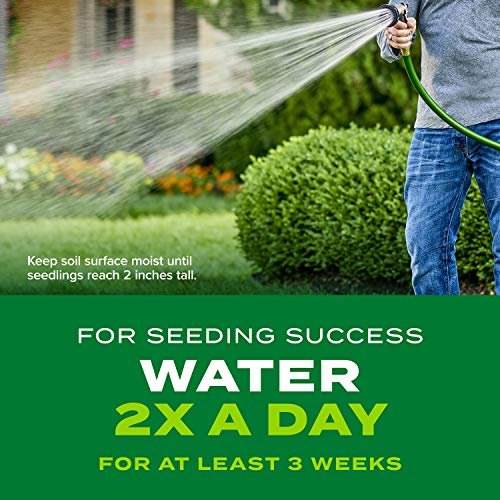 Scotts Turf Builder Rapid Grass Sun and Shade Mix, Combination Seed and Fertilizer, Grows Green Grass in Just Weeks, 16 lbs.