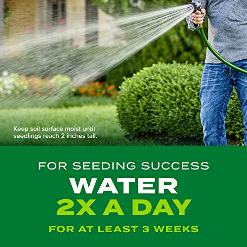 Scotts Turf Builder Rapid Grass Sun and Shade Mix, Combination Seed and Fertilizer, Grows Green Grass in Just Weeks, 16 lbs.