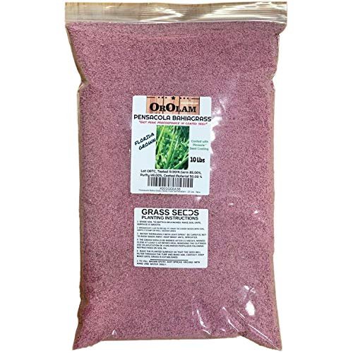 SeedRanch Pensacola Bahia Grass Seed - 10 Lbs. by SeedRanch